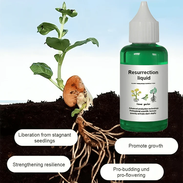 BotanicBoost™ | Biotininfunderat Växtåteruppståndelselixir - Image 3