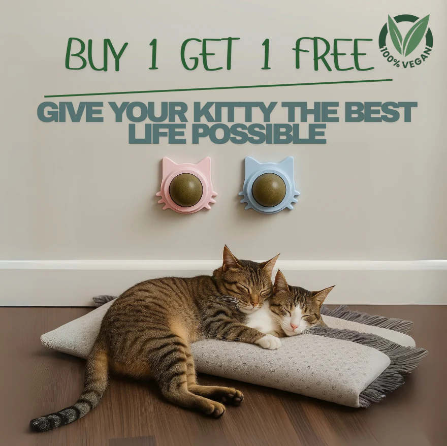 1 + 1 GRATIS IDAG | Calmew™