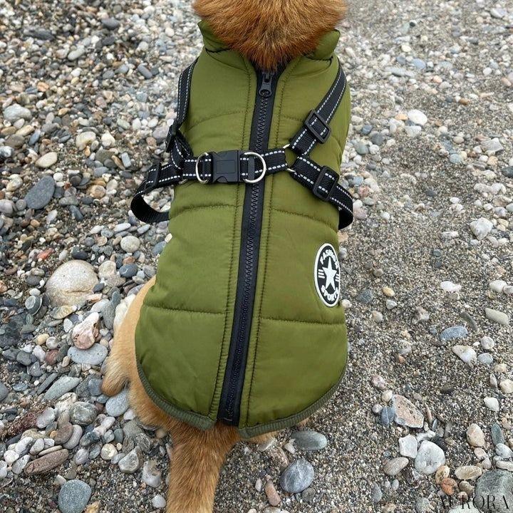 CozyCompanion™ | Hund vinterjacka - Image 5