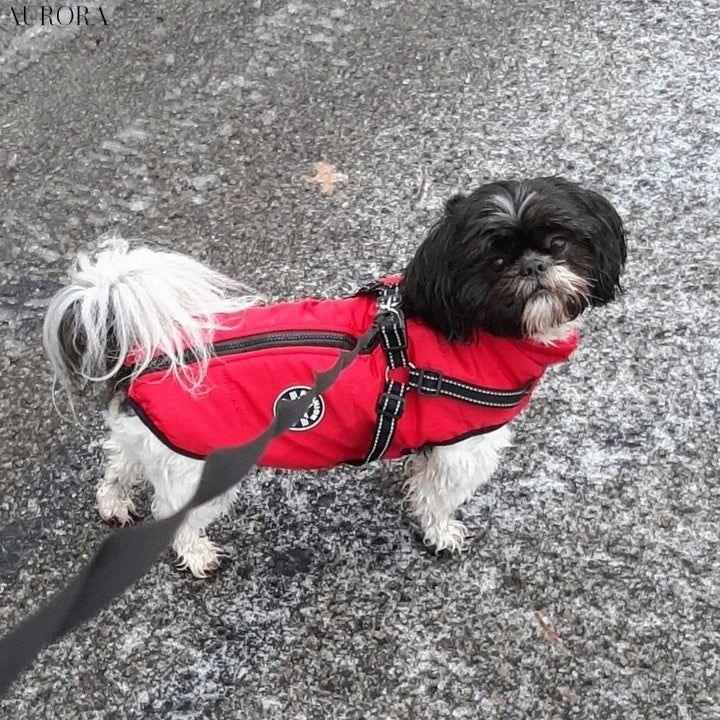 CozyCompanion™ | Hund vinterjacka - Image 6