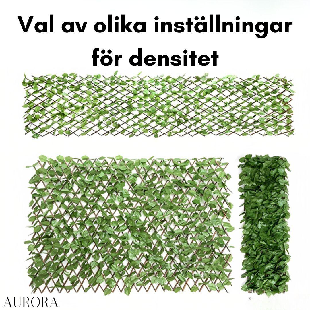 1 + 1 GRATIS IDAG | Gardenscape™ - Image 5