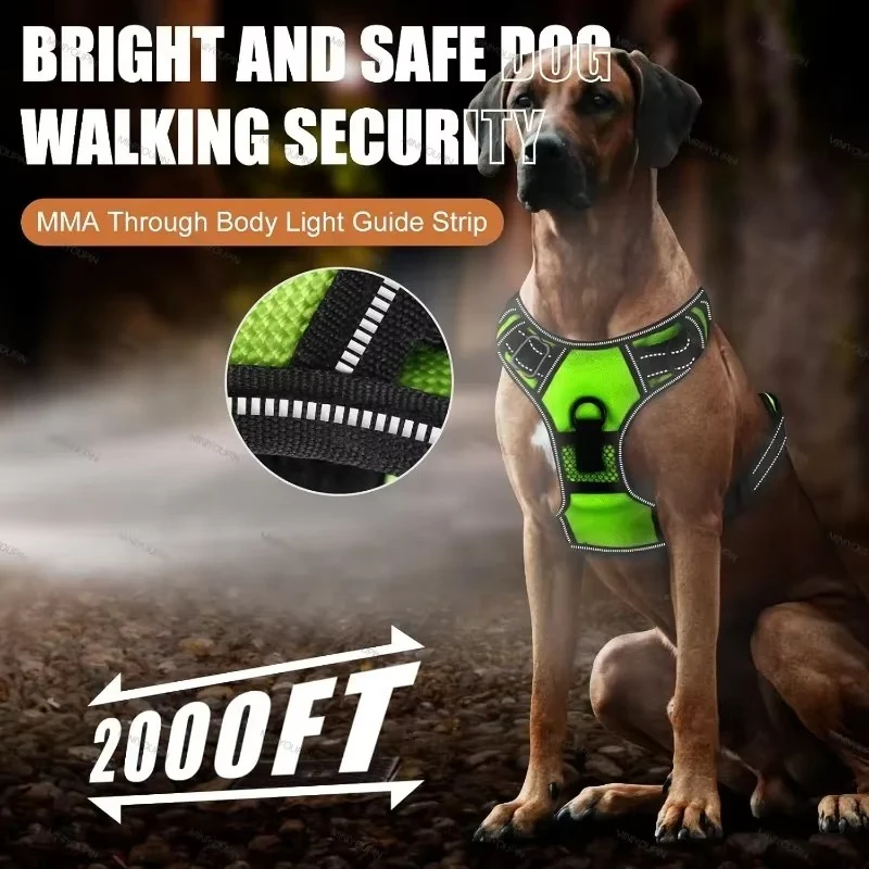 TILLFÄLLIGT 50% OFF | GloLeash™