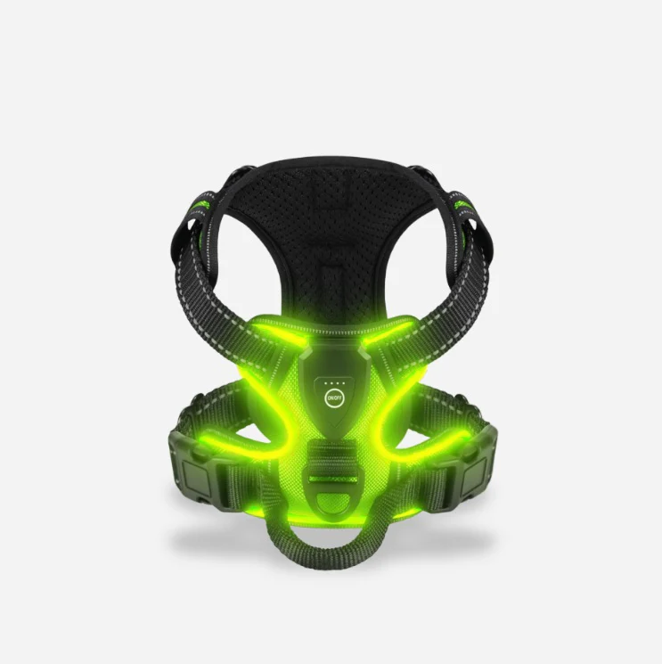TILLFÄLLIGT 50% OFF | GloLeash™ - Image 4