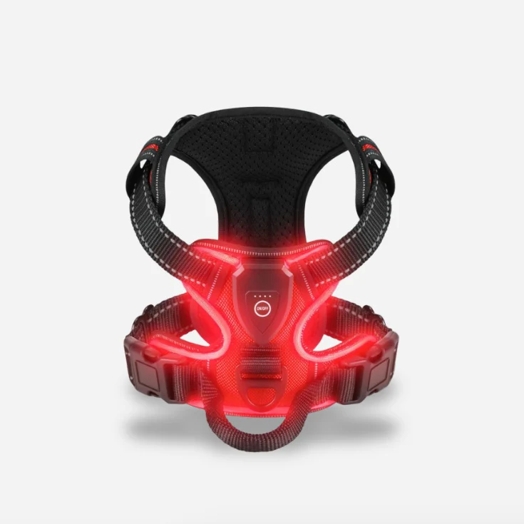 TILLFÄLLIGT 50% OFF | GloLeash™ - Image 5