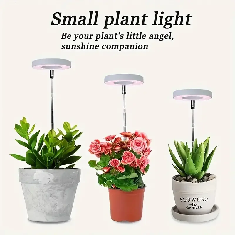 TILLFÄLLIGT 50% OFF | LumiSprout™