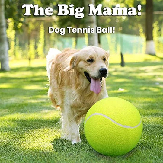 TILLFÄLLIGT 50% OFF | MegaFetch™ - Image 2