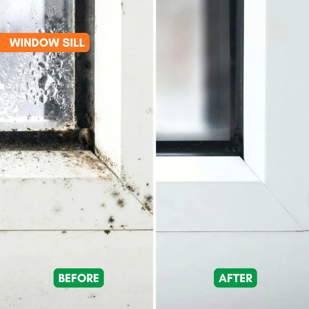 2 + 1 GRATIS IDAG | MoldClear™ - Image 3