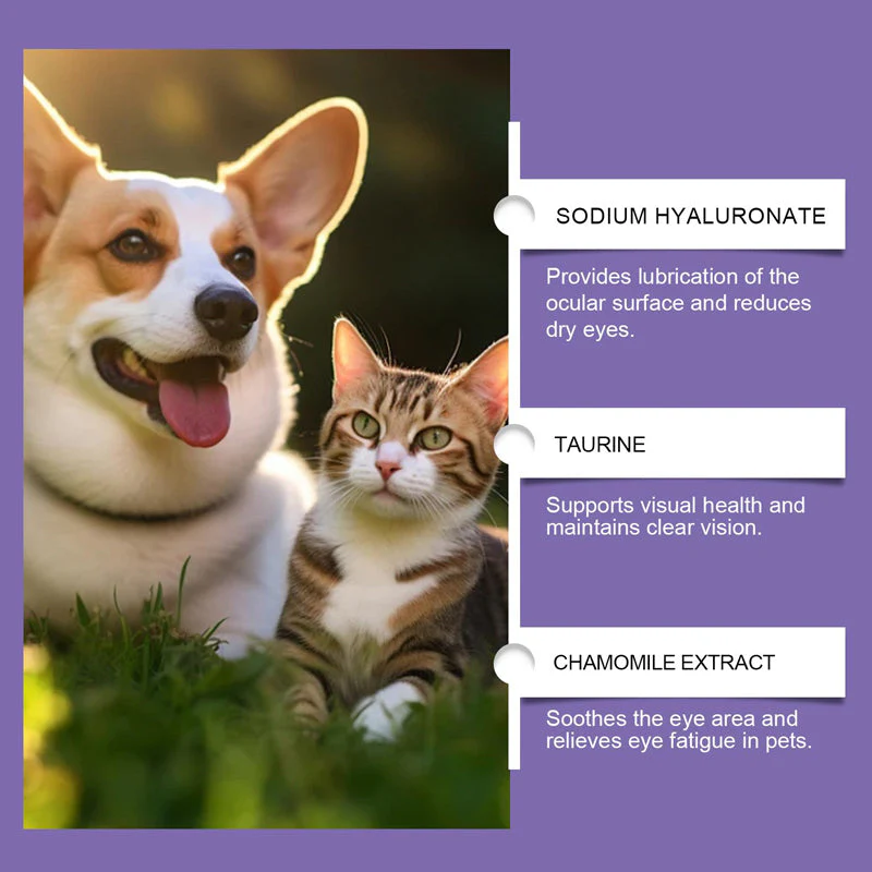 1 + 1 GRATIS IDAG | PawVision™ - Image 8