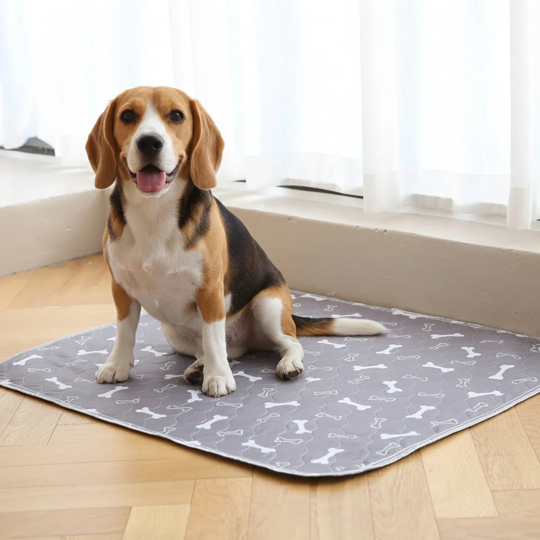1 + 1 GRATIS IDAG | PetPad™