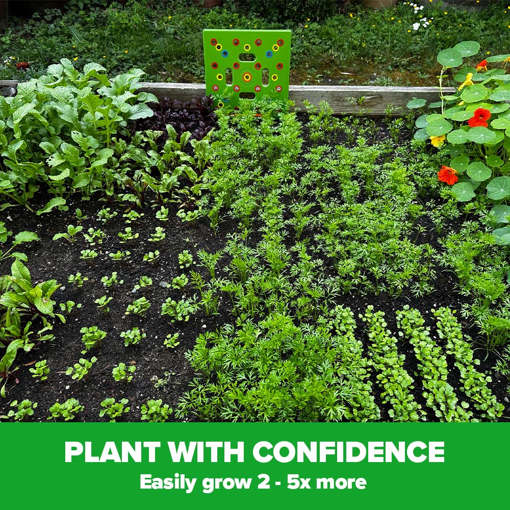 TILLFÄLLIGT 50% OFF | PlantGrid™ - Image 2