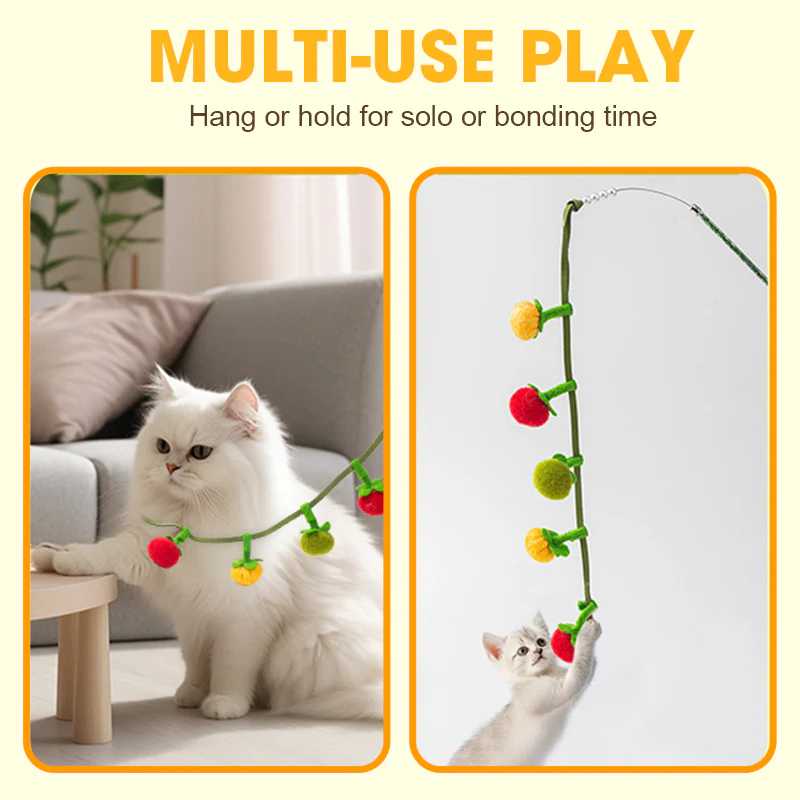 1 + 2 GRATIS IDAG | PurrTug™ - Image 2