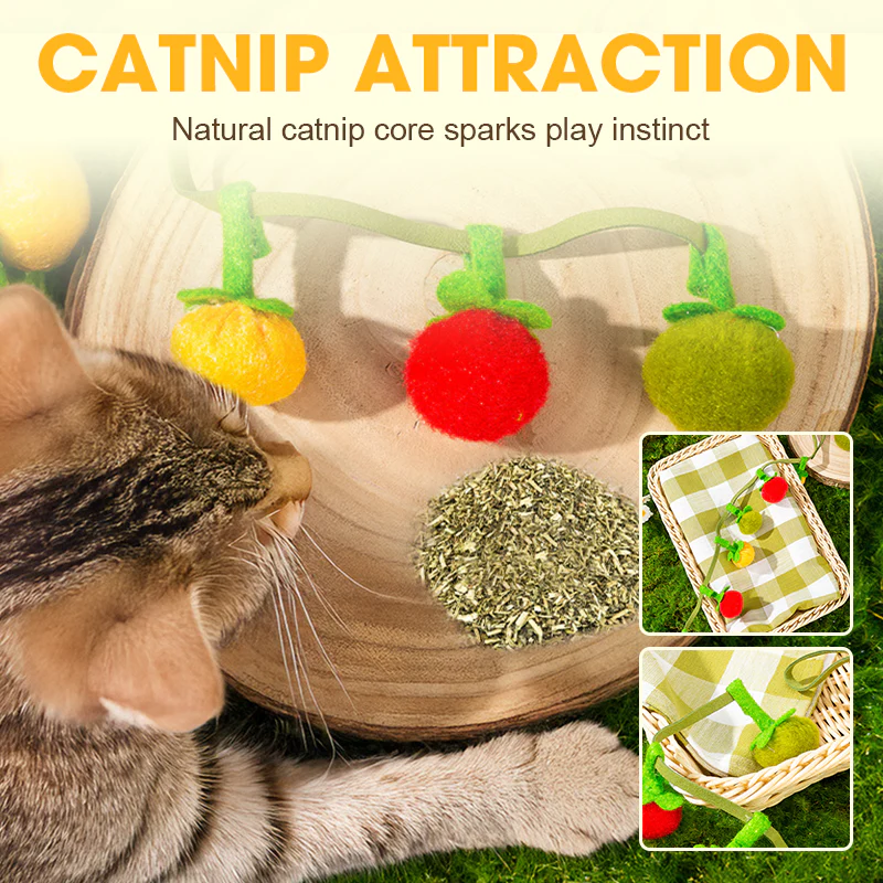1 + 2 GRATIS IDAG | PurrTug™ - Image 3